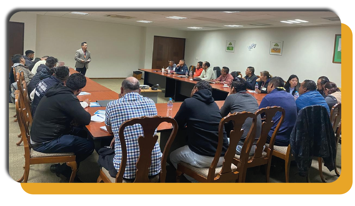 CONSULTORIA ESPECIALIZADA